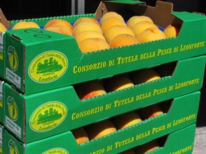 Scopri di più sull'articolo Pesca di Leonforte IGP
