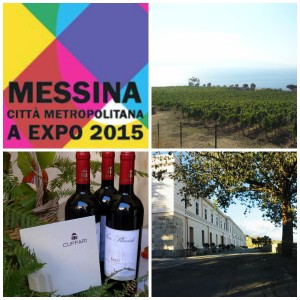 Scopri di più sull'articolo L’Istituto Tecnico Agrario “Cuppari” a EXPO 2015 – 25/09/2015