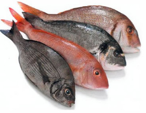 Scopri di più sull'articolo I benefici del pesce