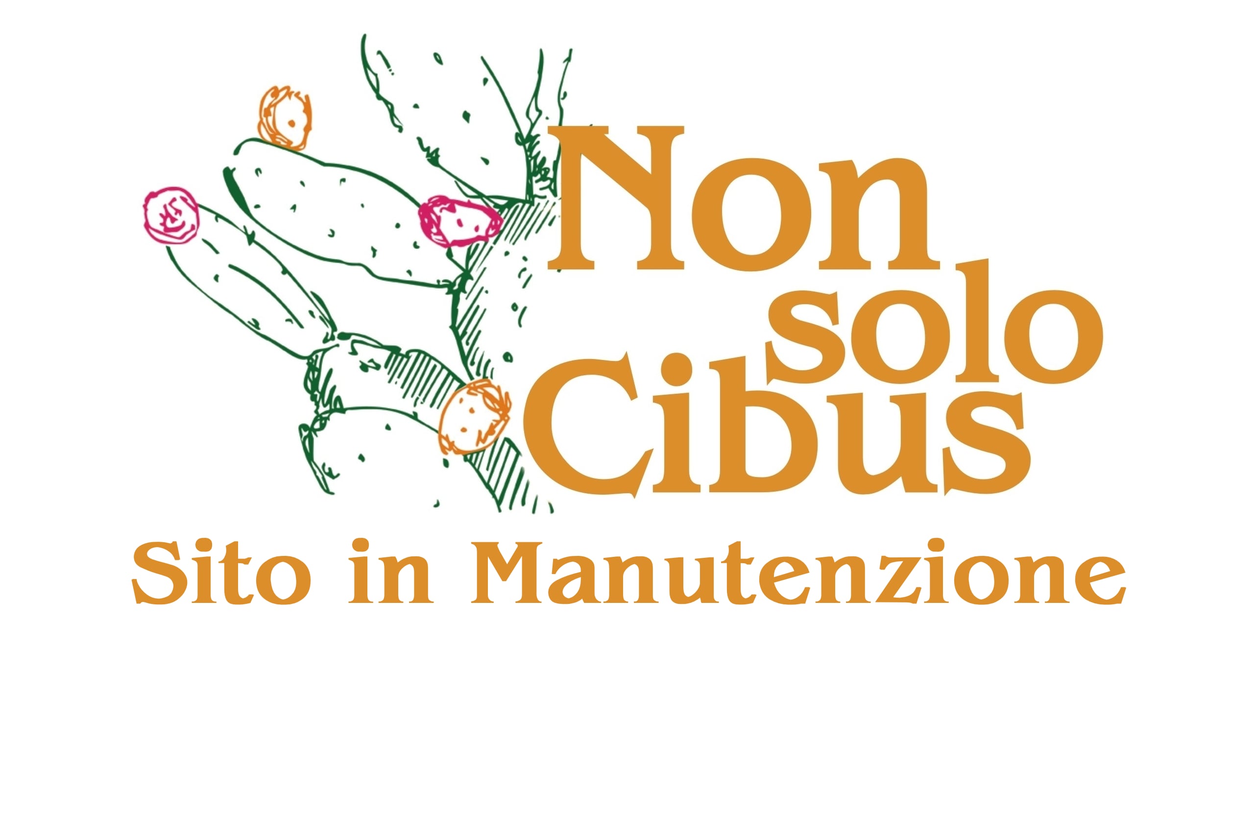 manutenzione-pc